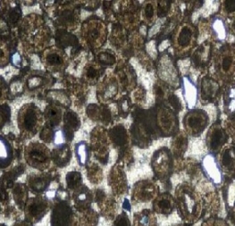 ارایه دانش فرمولاسیون